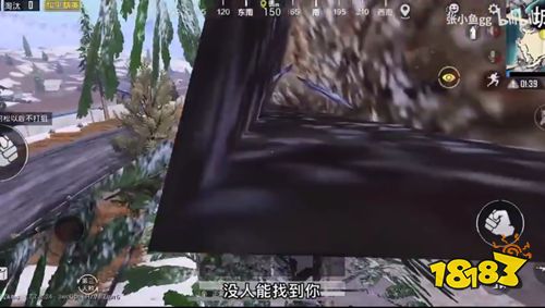 和平精英城堡卡进树里阴人BUG视频教程