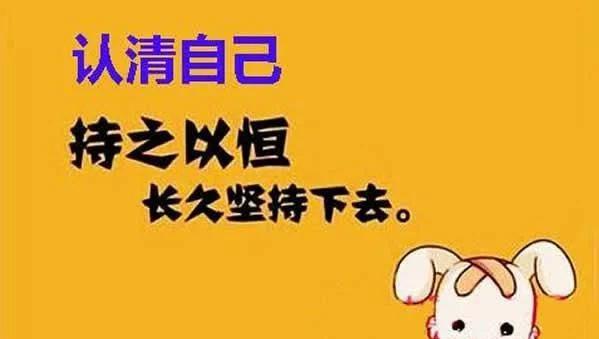 这个网赚项目千万别碰，否则一辈子出不来