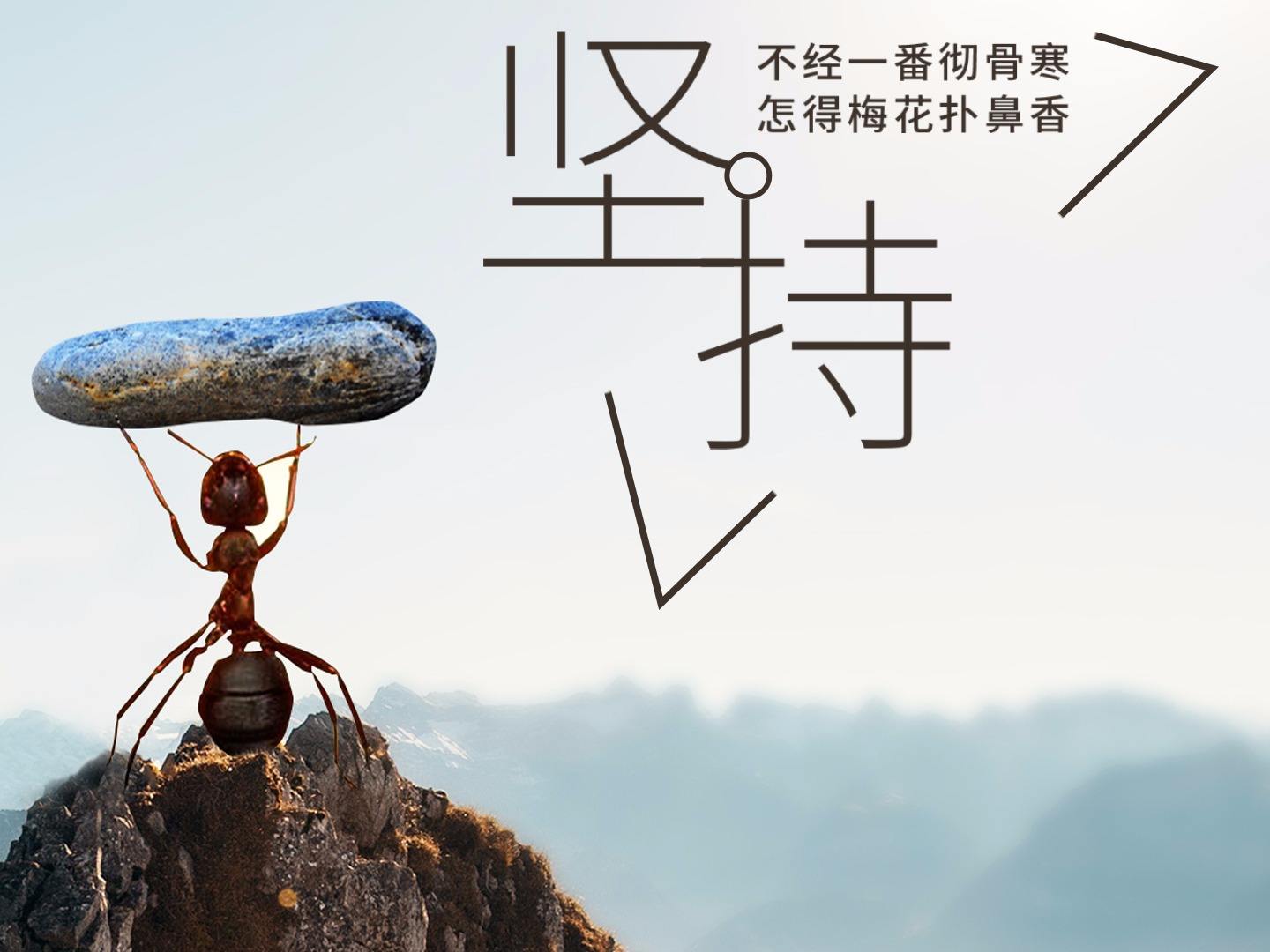 对于做网站的站长坚持就是胜利