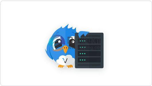 新手站长如何选择实惠的服务器？小嘀咕来为大家讲解下