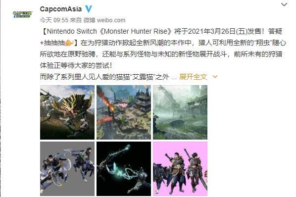 NS《怪猎：崛起》亚版与日版内容完全相同