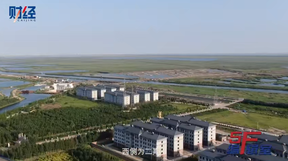 天津16栋楼房小区居然住骨灰盒