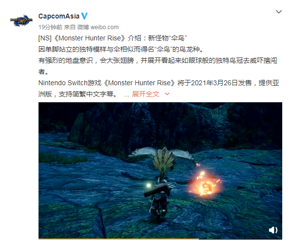 《怪物猎人：崛起》伞鸟有强烈地盘意识的鸟龙种