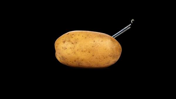 国外玩家用土豆玩《毁灭战士》满屋土豆发电场面壮观