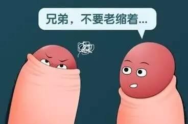 割包皮后被割下的包皮去哪了？