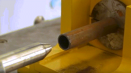 医生在线科普：幽门螺杆菌会不会通过性爱传播？