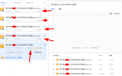 PC迅雷敏感资源限制解除单文件绿色版