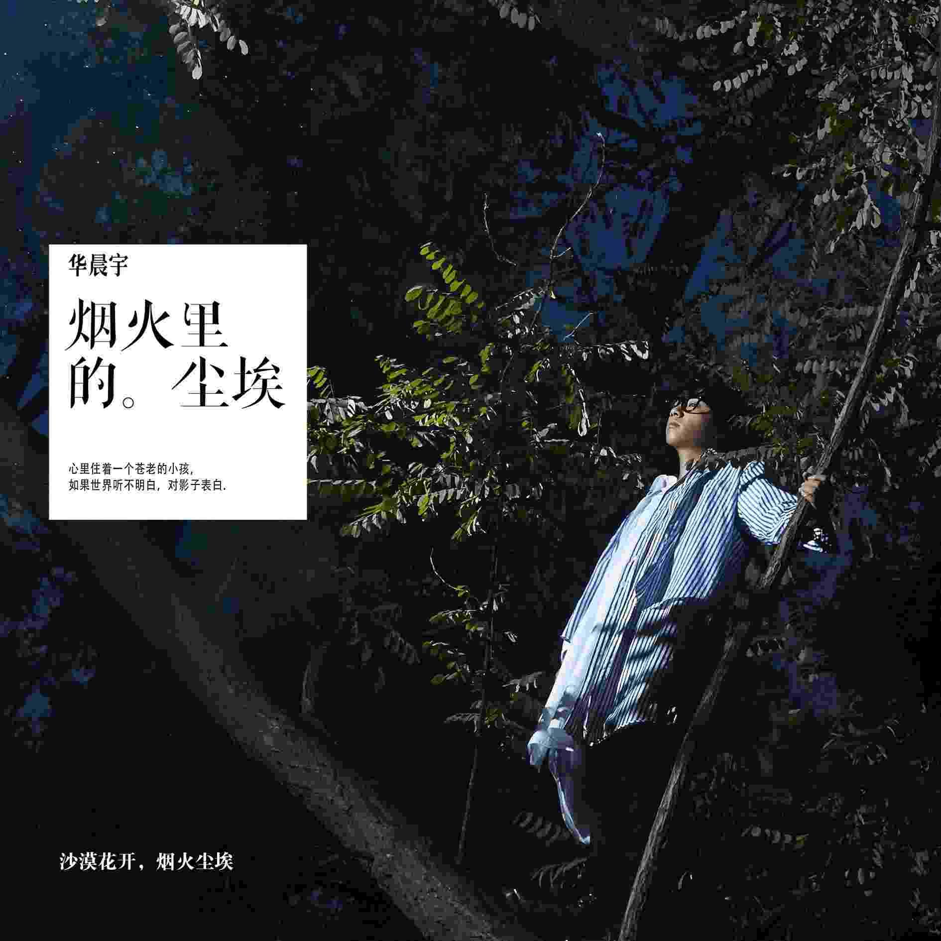 烟火里的尘埃 音乐才华才是能征服人心的利剑