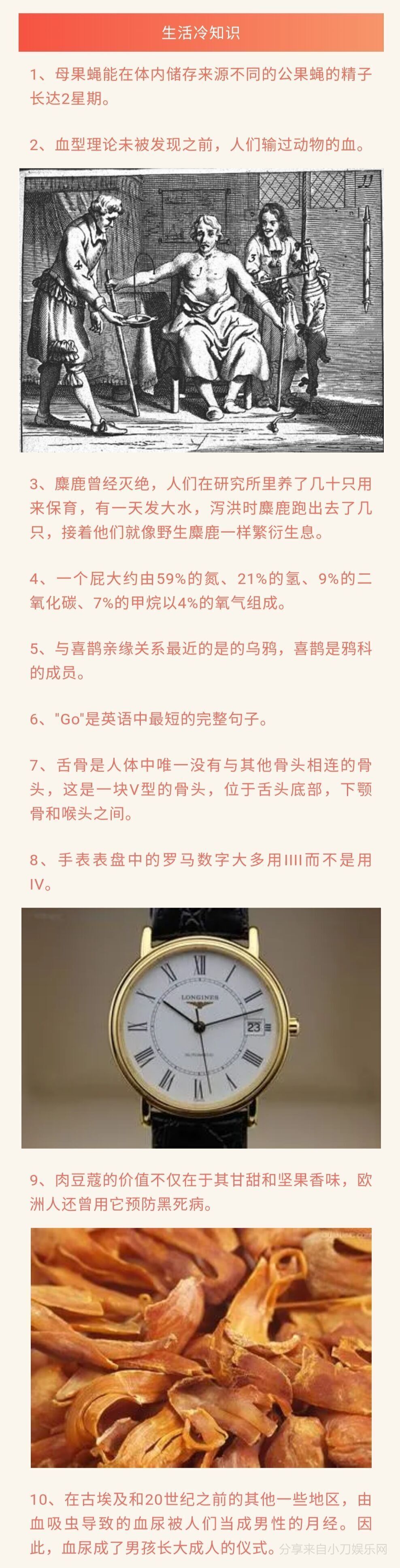 人类曾经输过动物的血 生活趣味冷知识分享带你涨知识