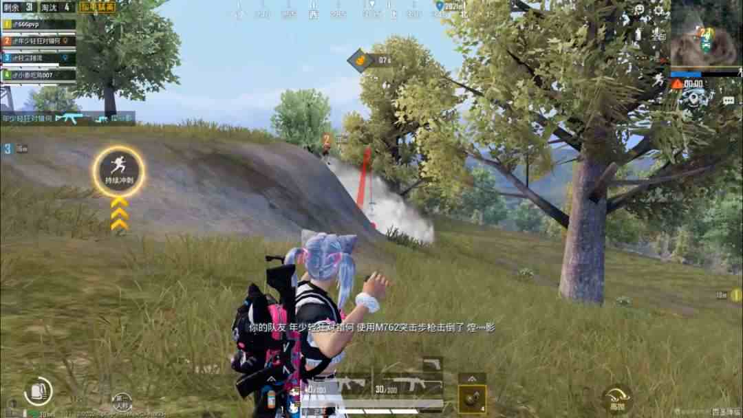 和平精英 不能给萌新使用的武器手雷上榜