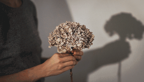 每个男人一生都会遇到至少两个女人